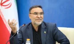 آریایی‌نژاد: مذاکرات باید بر اساس منافع ملی ایران باشد