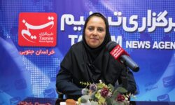 اجرای ویزیت آنلاین برای نخستین بار در کشور در خراسان جنوبی