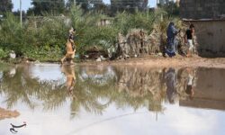 بارش‌های سنگین در جنوب استان کرمان؛ فاریاب با 86 میلی‌متر بیشترین بارندگی را ثبت کرد