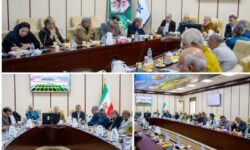 بررسی راهکارهای افزایش تولید میگوی پرورشی در نشست تخصصی استان بوشهر