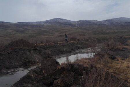 تاراج حیات در قرنقو؛ سکوت محیط‌زیست هشترود پای تابوت درختان گز
