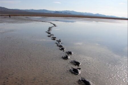 تالاب کجی نمکزار نهبندان پس از 18 ماه دوباره زنده شد