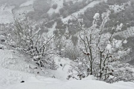 تداوم بارش برف و باران در سمنان/ کاهش دمای هوا و احتمال کولاک