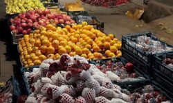 تشکیل 214 پرونده تخلف در طرح نظارتی بازار یلدای خراسان رضوی