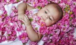 تماس با فتالات‌ها می‌تواند ناباروری و اختلال رشد عصبی ایجاد کند