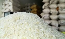 ثبات ‌بازار ‌در مشهد ‌با حذف ارز ترجیحی واردات برنج