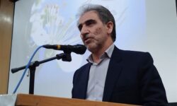 رکوردشکنی جوجه‌ریزی و تشدید نظارت‌ها بر نانوایی‌ها در ایلام