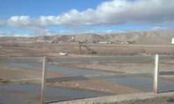 زخم عمیق بر پیکر رودخانه قرنقو؛ مجوز ویرانی صادر شد