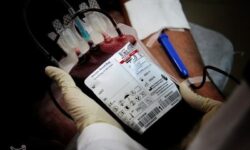 زنگ خطر جدی افزایش نیاز به خون به صدا درآمد /مشارکت بانوان ‌بسیار پایین است‌