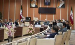 سهم مشاغل خانگی ایوان بیش از سه برابر شد