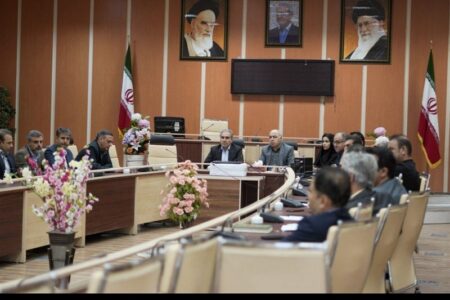 سهم مشاغل خانگی ایوان بیش از سه برابر شد