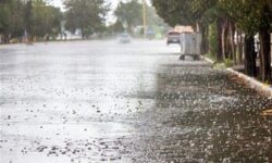 سیلاب‌های اخیر فارس/ جان پنج نفر گرفت و کشاورزی را ویران کرد