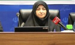 شینا انصاری: بی‌توجهی به سیاست‌های کلان ریشه چالش‌های محیط‌ زیستی کشور است