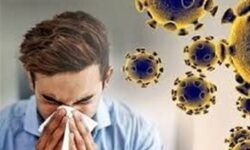 شیوع بحرانی آنفلوانزا در شمال ایران/ گلستان در لیست قرمز/ وقتی ویروس می‌تازد
