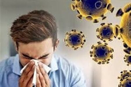 شیوع بحرانی آنفلوانزا در شمال ایران/ گلستان در لیست قرمز/ وقتی ویروس می‌تازد