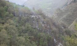 نابودی تدریجی جنگل‌های هیرکانی/ آتش‌سوزی‌ها بازماندگان عصر یخبندان را بلعیده‌اند