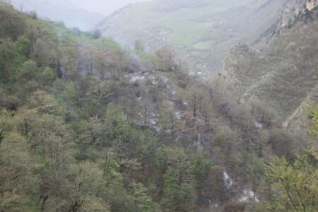 نابودی تدریجی جنگل‌های هیرکانی/ آتش‌سوزی‌ها بازماندگان عصر یخبندان را بلعیده‌اند