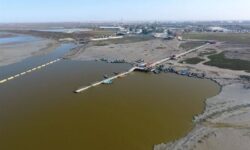 نفس‌های آخر تنها خلیج ایرانی خزر/ مساحت خلیج به 27هزار هکتار رسید/ ترک‌فعل‌ گسترده برای علاج‌بخشی