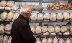 هر کیلو 200 هزار تومان؛ “مرغ” در شیراز پرواز کرد