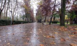 هشدار نارنجی در گیلان؛ بارش‌های شدید، سیلابی شدن رودخانه‌ها و یخبندان در راه است