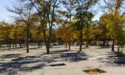 پایان سال‌ها بلاتکلیفی آرامستان دهخدا/ قفل مالکیت قبرستان شکست/ روایت تحول دهخدا