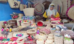کارآفرینی زنان رشت به ثمر نشست؛ از آموزش تا درآمد پایدار
