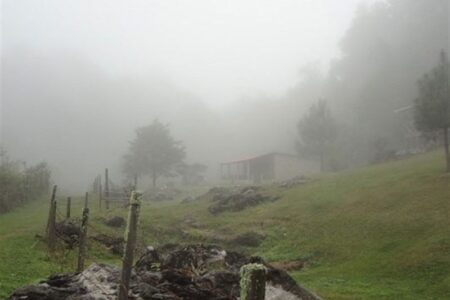 گردشگری پاییزی| ماجراجویی در قلب طبیعت بکر غرب ایران/ سفر به جغرافیای آرامش با چالش “مه”
