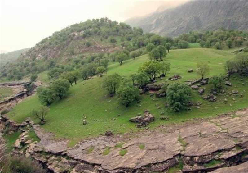 اخبار استان ایلام , سازمان میراث فرهنگی، صنایع دستی و گردشگری , وزارت میراث فرهنگی، گردشگری و صنایع دستی , 