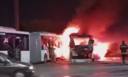 اغتشاشگران 4 ‌حافظ‌ امنیت را در خراسان شمالی به شهادت رساندند