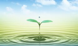 تمرکززدایی در مدیریت آب؛ راهکار کاهش وزن دولت در سیاستگذاری