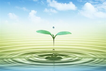 تمرکززدایی در مدیریت آب؛ راهکار کاهش وزن دولت در سیاستگذاری