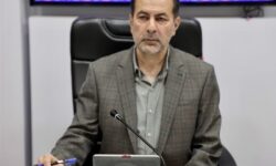 حمایت دولت از صنعتگران و هنرمندان صنایع دستی در خراسان جنوبی