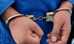 دستگیری آشوبگران مسلح در بهارستان