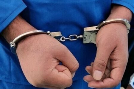 دستگیری آشوبگران مسلح در بهارستان