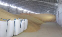 ذخیره 80 هزار تنی نهاده‌های دامی در بندر کاسپین