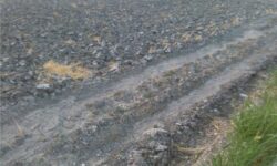 زمین‌های کشاورزی زیر سایه پلاستیک/کشاورزی تایباد در معرض بحران