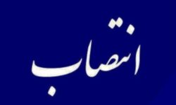سرپرست بنادر غرب هرمزگان منصوب شد
