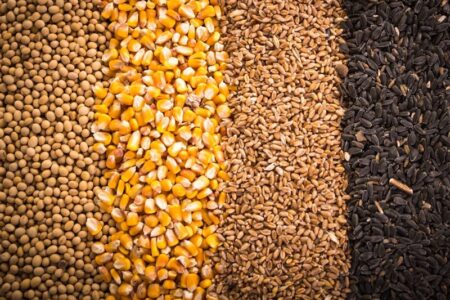 ضرورت مدیریت دقیق تغییرات ارزی در نهاده‌های دامی