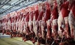 واردات 2.2 میلیون کیلوگرم گوشت از مرز میرجاوه