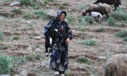 11 هزار مستمری‌بگیر همدان کمک معیشتی و عیدی دریافت کردند