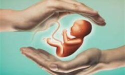 2800 زوج نابارور در استان مازندران نشان‌دار شد‌