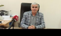 60 درصد فارغ‌التحصیلان ‌علمی کاربردی جذب بازار کار می‌شوند