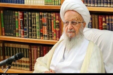 آیت‌الله مکارم شیرازی: ایمان به منجی، ضامن پایداری امت اسلامی است