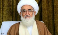 آیت‌الله نوری همدانی: انقلاب اسلامی بر پایه مهدویت شکل گرفت