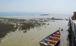 از رامسر تا احتضار؛ خلیج گرگان چگونه به فاجعه اکولوژیک رسید؟