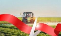 افتتاح 800 میلیارد تومان طرح کشاورزی کردستان در دهه فجر