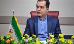 افزایش 23درصدی جوجه ریزی در خراسان شمالی/ کالای ماه رمضان تامین شد