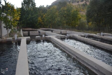 اینفوگرافیک|ظرفیت کم‌نظیر شیلات در چهارمحال و بختیاری