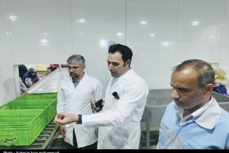 تشدید نظارت دامپزشکی در نوروز و رمضان 1405/ فعالیت 60 اکیپ نظارتی