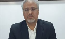تولید بیش از 30 هزار تن میگو با مدیریت علمی دامپزشکی بوشهر